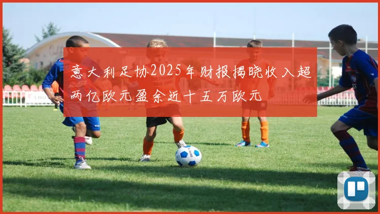 意大利足协2025年财报揭晓收入超两亿欧元盈余近十五万欧元